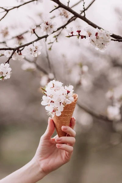 Spring flower in ice cream waffle cone