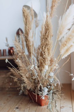 Ev iç kuru süs otu