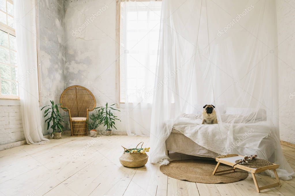 Sunny Skandinavian style interior bedroom. Wooden floor, natural materials, dog sitting on the bed