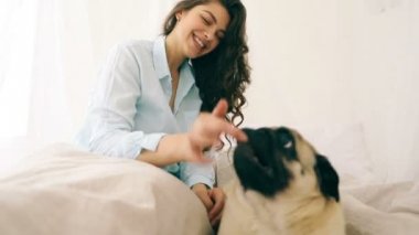 evde beslenen hayvan köpek yatak genç kadın video görüntüleri ile oynamak. Sıcak yaz yatak odası