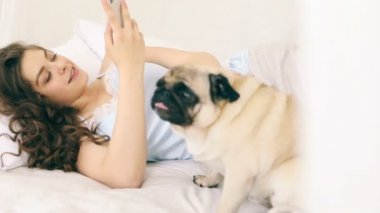 Yatakta kullanarak mobil cep telefonu sosyal medya. Komik pug köpek kadınla. Video görüntüleri. Ev güneşli hafta sonu