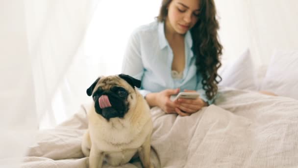 Chiacchierando con cellulare donna seduta sul letto in luce accogliente camera da letto con cane carlino. Video filmati — Video Stock