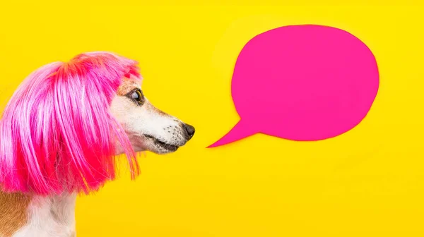 Adorable perro de moda en peluca rosa sobre fondo amarillo con globo de habla rosa. peinado de moda, servicios de peluquería —  Fotos de Stock