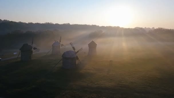 Hästar betar i en glänta med dimma och kvarnar. lantlig romantisk scen. Dawn och humör. Eco platser i Ukraina. Video aeriel drone footage. — Stockvideo