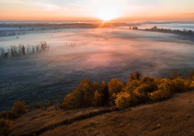sonbahar atmosfer. Renkli ağaçlar ön planda. Soğuk mist Vadisi. Gündoğumu, doğanın güzelliği.
