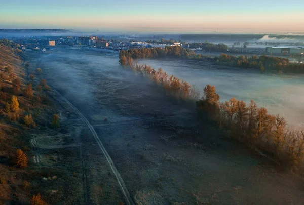 Gult höstträd och dimmig blå valley. Soluppgång. Staden i bakgrunden. Höstens mood varma och kalla färger — Stockfoto