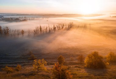 Derin kalın sis vadide. Uzun gölgeler ağaçlardan. Atmosferik güzel şafak. Hava dron fotoğraf. Şaşırtıcı doğal altın güneş ışınları ağaçların arasından