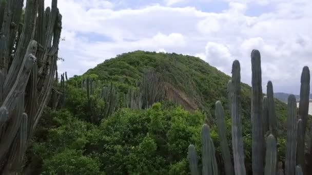 Aerial video footage. flight between brazilian cacti. Ponta do Pai Vitorio Buzios, Rio de Janeiro, Brazil. — Stockvideo