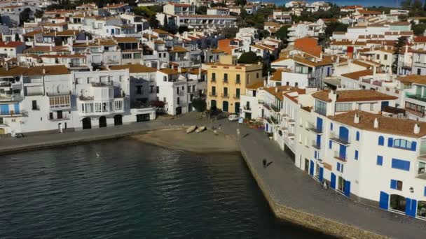 Cadaques: Ισπανία. Εναέριο κηφήνα πλάνα βίντεο της κάμερας προσεγγίσεις της πόλης ηλιόλουστο φως της ημέρας. Στο τέλος του μαγνητοταινίες γλάρος προφθάνει με το drone κοιτάζοντας την κάμερα και να φέρουν πολύ κοντά — Αρχείο Βίντεο