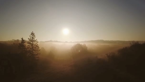 Дом на краю леса. Природа покорила прекрасным утром восхода солнца. Туман и золотой свет. Видеокадры с воздуха — стоковое видео