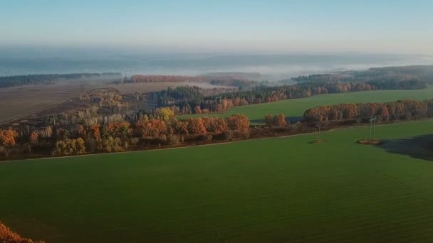 Podzimní pole a stromy. Letecké video záběrů. — Stock video