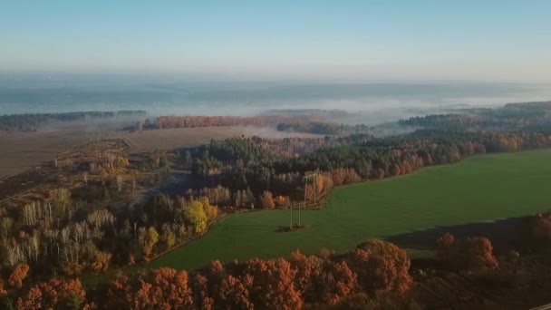 Flygande kameran flyger över fält och skogar. är dimma vid horisonten i fjärran. Videofilmer — Stockvideo