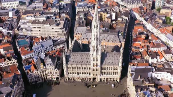 Grand Place Brussels Ayuntamiento Ciudad Casa Del Rey Breadhouse Imágenes — Vídeos de Stock