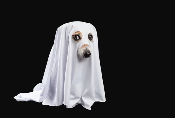 Ghost op zwarte achtergrond. Halloween carnaval partij — Stockfoto