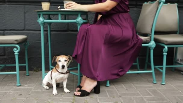 Der liebenswerte Hund sitzt unter dem Tisch. das Mädchen trinkt Kaffee. lila Kleid flattert im Wind — Stockvideo