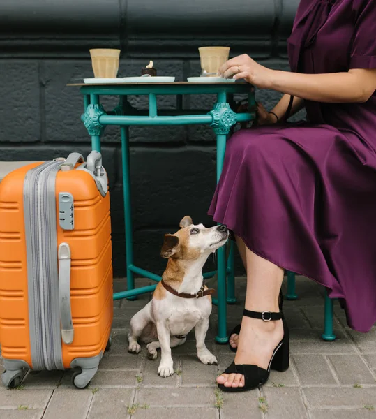 Reisestimmung Straßencafé Kaffee. Weltenbummler dürsten nach Ausflugsthema. Reisen mit Haustier — Stockfoto
