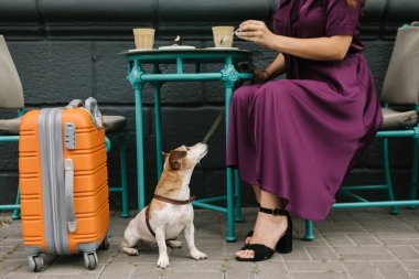 Kalkışı bekliyorum. Seyahat severler. Sokak kafede köpek ve kadın