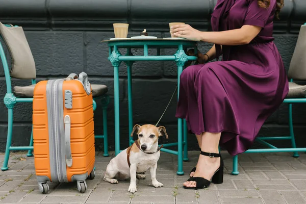 Coffee break in travel. Dog and woman in street cafe