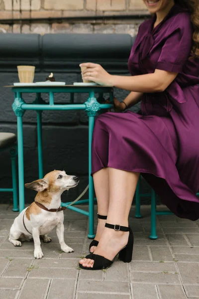 ストリートカフェで犬と女性。昼食を食べている。エレガントなスタイルの紫のスタイリッシュなシルクのドレス — ストック写真