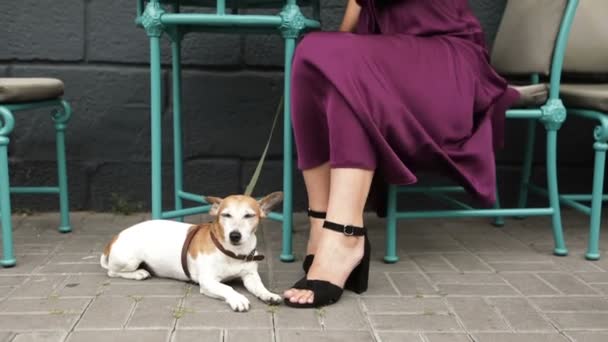 Lokale Bar Besucher Woamn Mit Ihrem Haustier Beim Cappuccino Straßencafé — Stockvideo