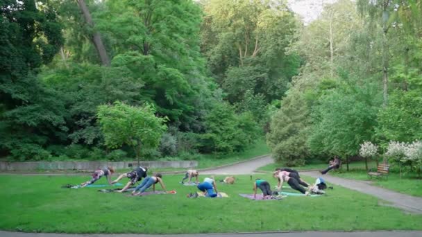 2020 Kiev Ucrania Jardín Botánico Grupo Personas Haciendo Yoga Deportivo — Vídeo de stock