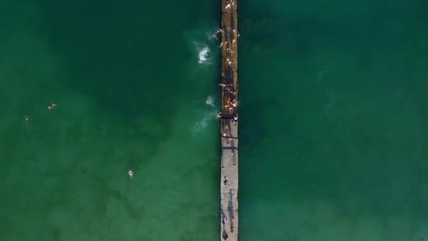 Gente Nadando Saltando Del Muelle Agua Vídeo Conceptual Aéreo Desde — Vídeo de stock