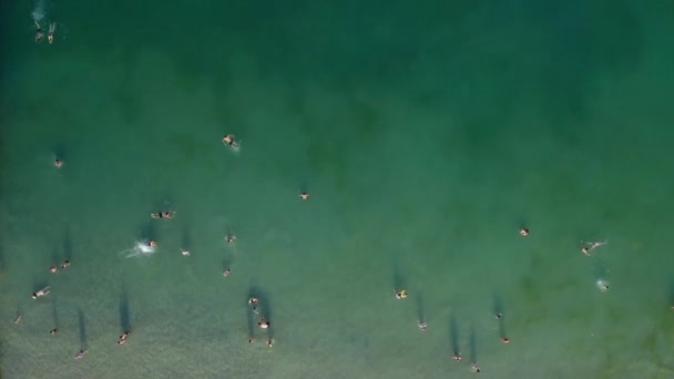 混雑した都市のビーチ 人々は水の中で泳いでいる 上から空中概念ビデオ映像を表示します 人気のビーチでの家族の週末 夏休みのバイブ ハイシーズンの夏のリゾート活動 — ストック動画