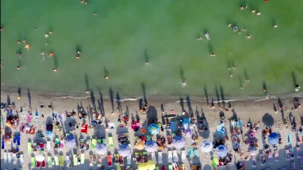 混雑したオデッサウクライナのビーチ夏の高観光シーズン 上記の異常な視点からの元の空中ドローン芸術創造的な組成物 ビデオ映像だ 家族との日光浴 — ストック動画