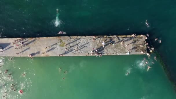 Mar Desde Arriba Gente Nadando Saltando Del Muelle Agua Vídeo — Vídeos de Stock