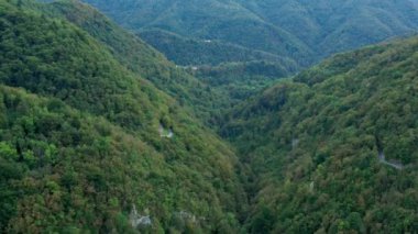Slovenya ve İtalya sınırındaki yeşil yaz Alpleri dağlarının hava görüntüleri. Yukarıdan sakin meditasyon manzarası, Güzel vadi 