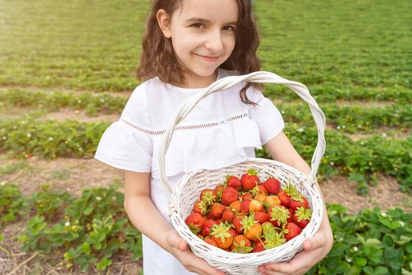 Schöne Glückliche Mädchen Mit Korb Mit Roten Erdbeeren Köstliche Beeren — Stockfoto
