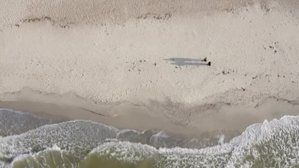 Imágenes Aéreas Vídeo Pareja Caminando Por Costa Día Fin Semana — Vídeos de Stock