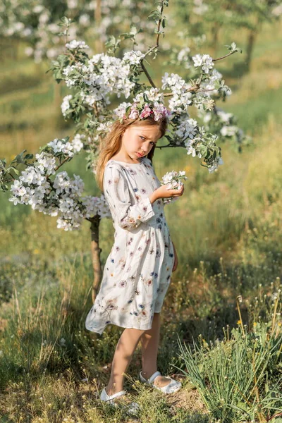 Meisje Natuur Draagt Een Lichte Jurk Bloemen Haar Haar — Stockfoto