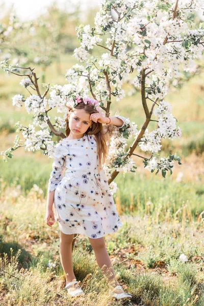 Модна Дівчина Позує Весняному Саду — стокове фото