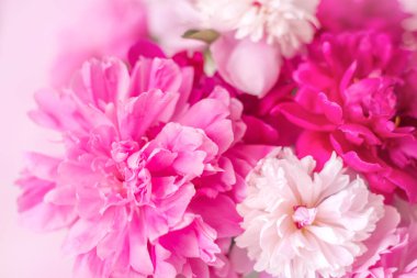 Şakayıklar pembe ve beyazı kapatır