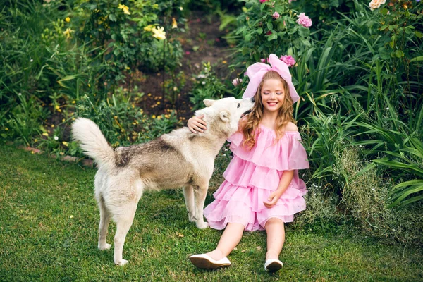 Дівчина Рожевій Сукні Сидить Траві Грає Великим Собакою — стокове фото