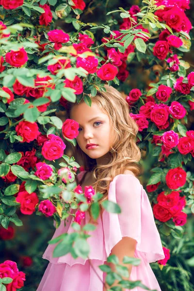 Дівчина Рожевій Сукні Пишному Саду Серед Троянд — стокове фото