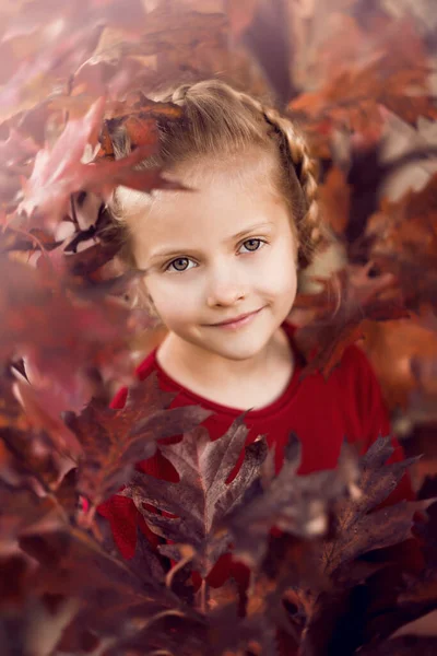 Schönes Kleines Mädchen Kastanienbraunen Herbstblättern — Stockfoto