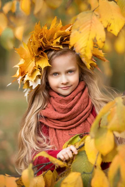 Retrato Uma Menina Bonita Criança Folhas Outono — Fotografia de Stock