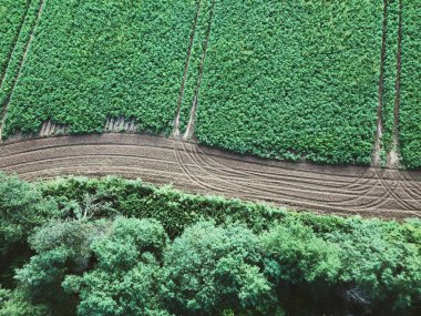 road in the field from above with drone clipart