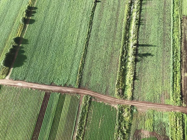 road in the field from above with drone