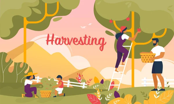 Happy Family Harvesting in Garden Banner, été — Image vectorielle
