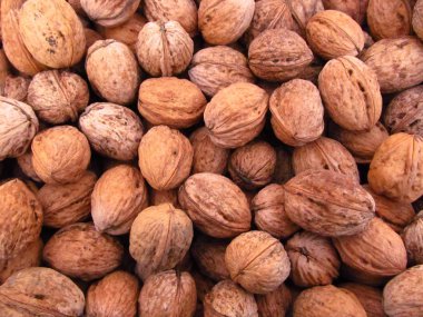 Fındık sıkı resimleri