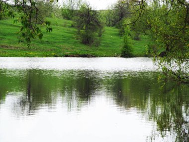 Göletin yanında bahar güzelliği. Nehir kıyısındaki yeşil çimenler
