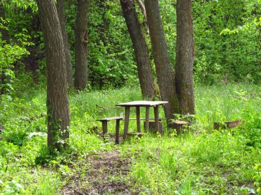 solmuş sazlık ve buz mavi gökyüzü ve beyaz bulutlar karşı/EC gölet yakınındaki eski ahşap nehir iskele
