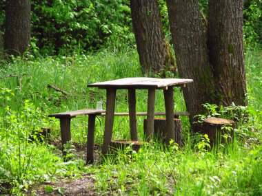 solmuş sazlık ve buz mavi gökyüzü ve beyaz bulutlar karşı/EC gölet yakınındaki eski ahşap nehir iskele