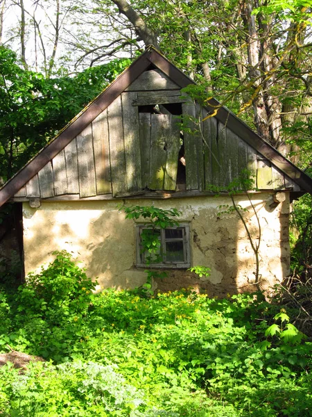 Uma antiga casa de barro arruinada, uma fachada de madeira na aldeia de Zaluzhya, Ucrânia. Paredes velhas. Arbustos e árvores no jardim . — Fotografia de Stock