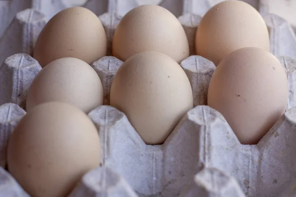 Uova affumicatrici di formaggio in un vassoio. Foto di un uovo da distanza ravvicinata . — Foto Stock