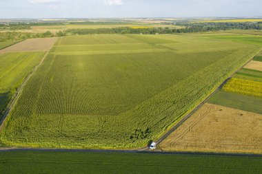 Kuş bakışının yüksekliğinden köydeki çiftliğin tarlalarındaki geometrik figürler. Kvadrokopter resimleri