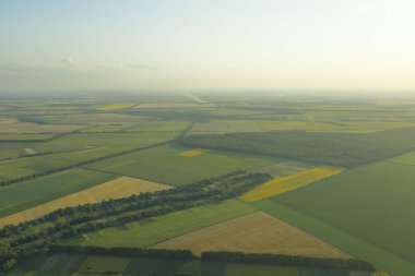 Kuş bakışının yüksekliğinden köydeki çiftliğin tarlalarındaki geometrik figürler. Kvadrokopter resimleri